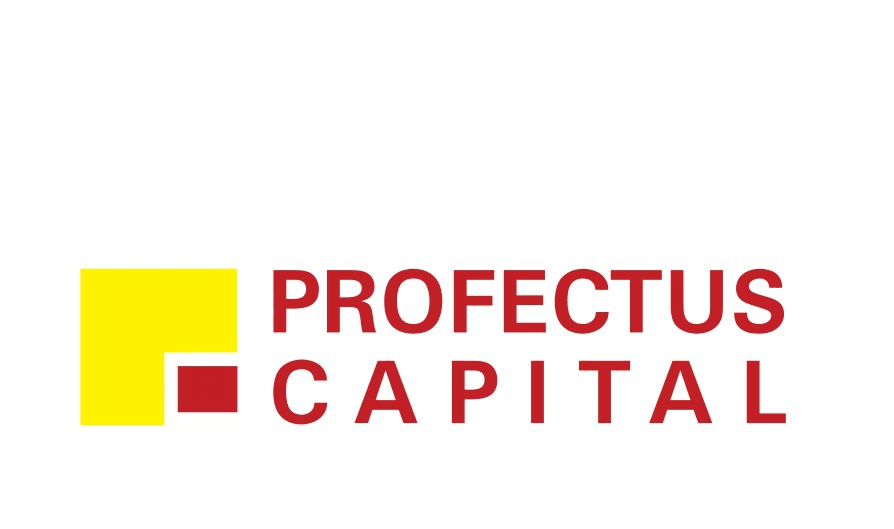 test_Profectus_Capital.png